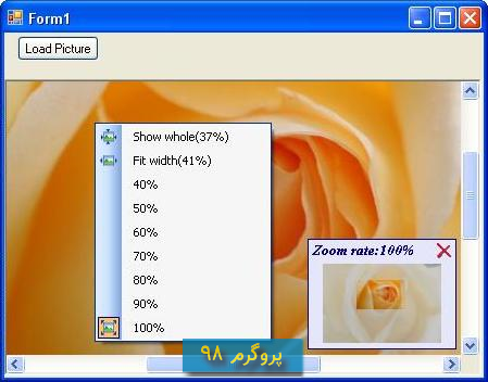 سورس کد picture box قابل اسکرول و قابل zoom در #C