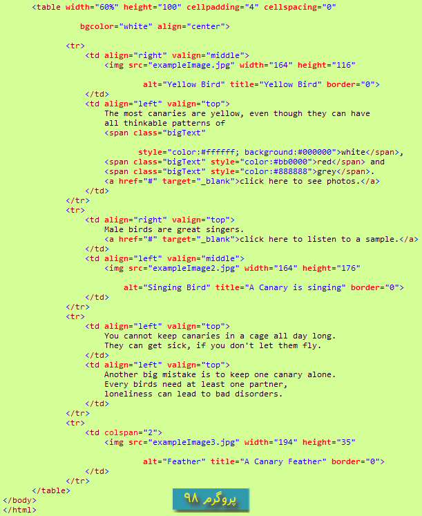 سورس کد مخفی کردن داده Binary درون داکیومنت HTML به زبان سی شارپ